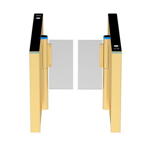 01-Comet Series Basic Model S1000 Gold.9